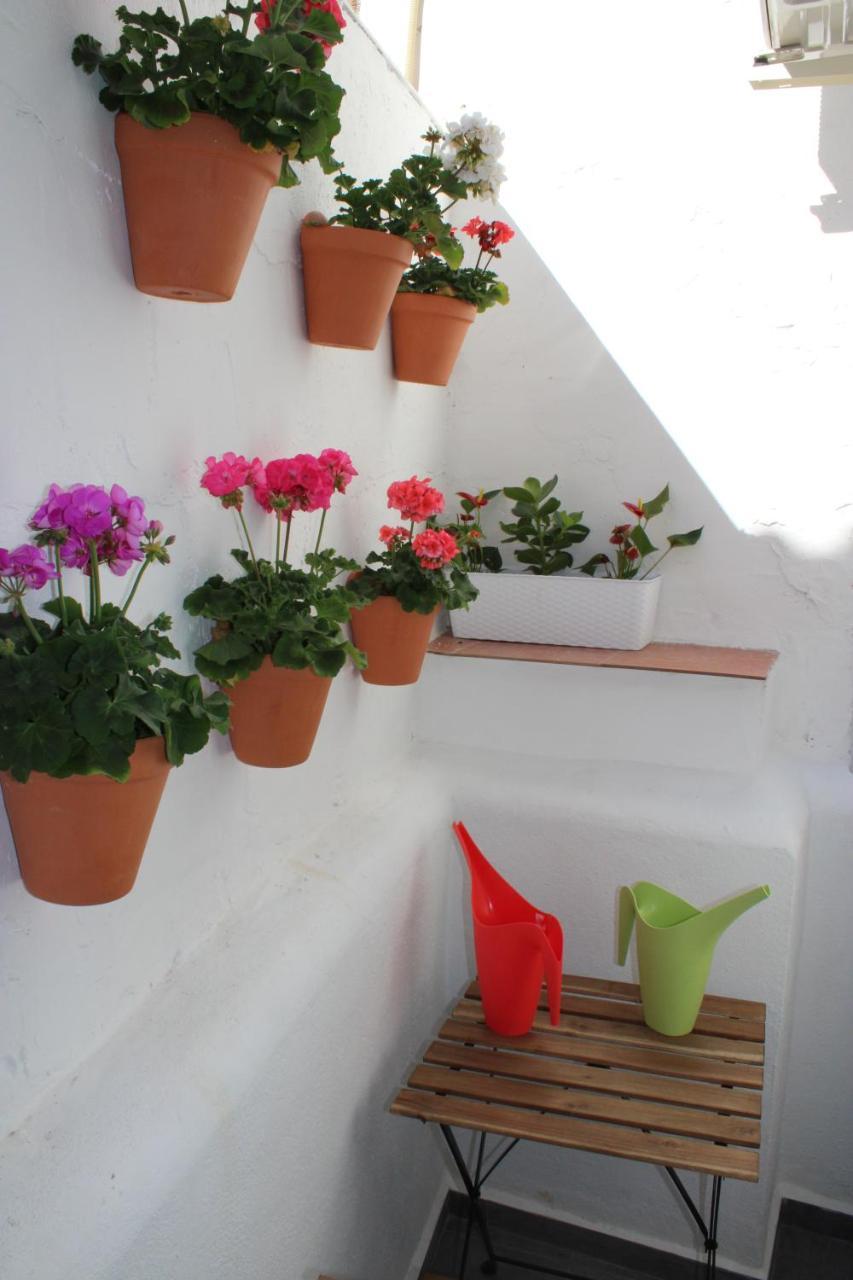Fan Flat San Juan Appartement *