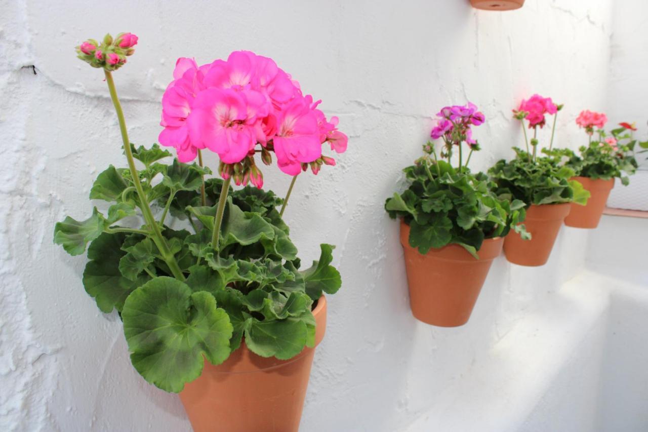 Appartamento Fan Flat San Juan