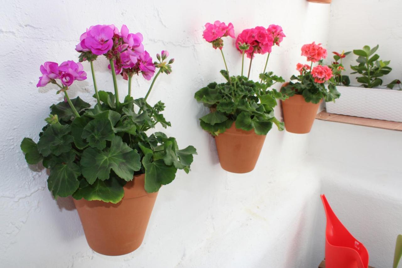 Appartamento Fan Flat San Juan
